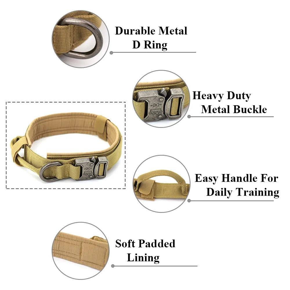 Dog Collar Dog Collar